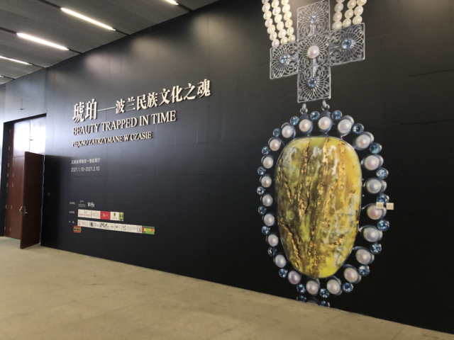 Wystawa "piękno zatrzymane w czasie". fot. sebastian tajl