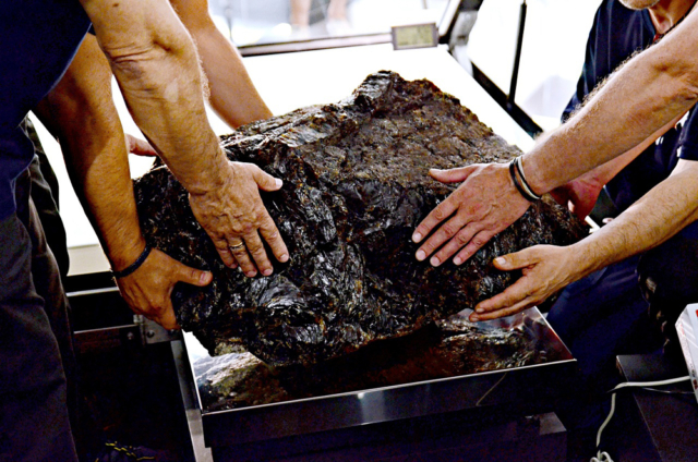 Ważenie największej bryły bursztynu. fot. grzegorz mehring