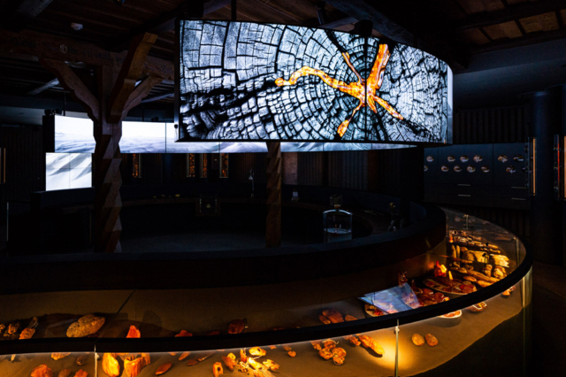 Muzeum bursztynu w nidzie