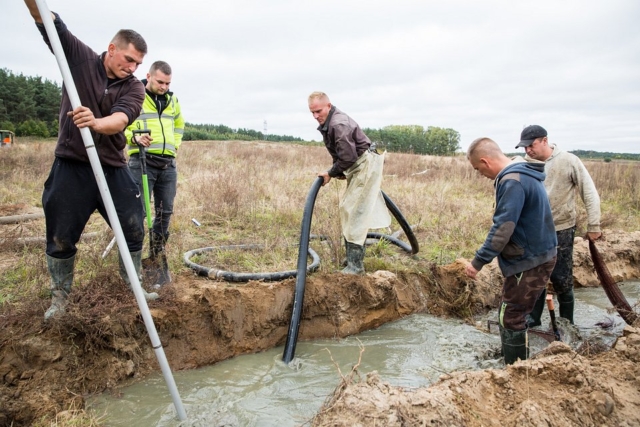 Poszukiwanie bursztynu