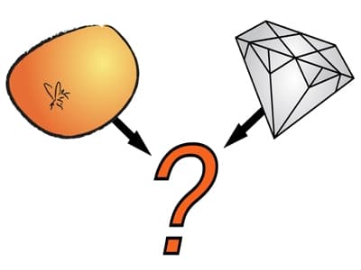 3e17a4a91fecaced6639d00a25d5480e bb6