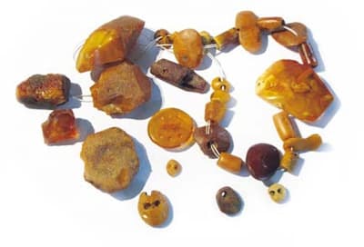 Półwytwory i ozdoby gotowe z późnoneolitycznych pracowni bursztynniczych (ze zbiorów Muzeum Ziemi PAN)