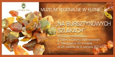 54aceca6fa824dfe19799ae410c25573 8ca