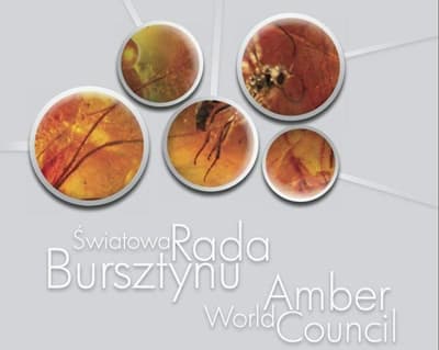 Bd453c22415554e4edc70886420e179c 67e