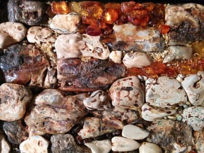 Cddaf28058f6c209c8821803726d9689 153