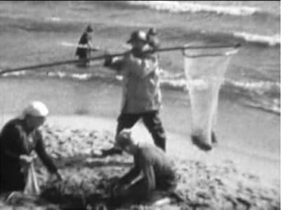 F44997cb312b542bbd55c895274ee230 fc9