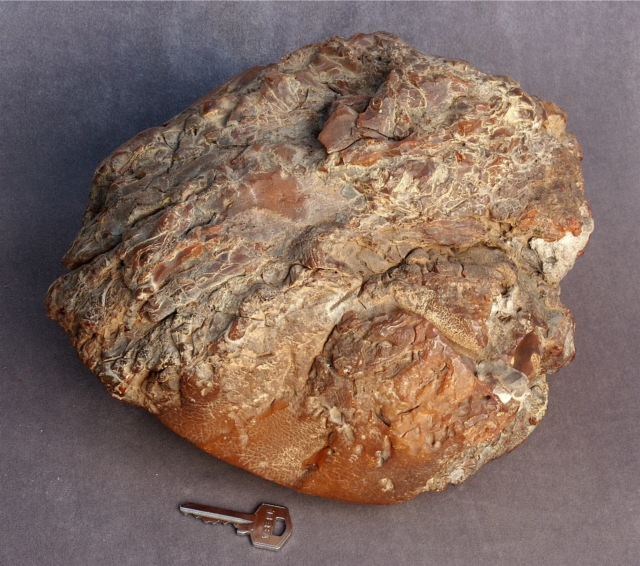 Muzeum kaliningradzkie